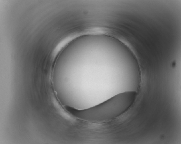 X0000114401477200910161044