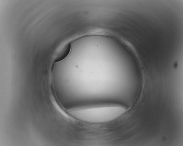 X0000114401479200910161044
