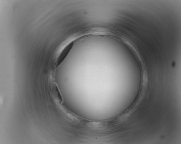 X0000114401481200910161044