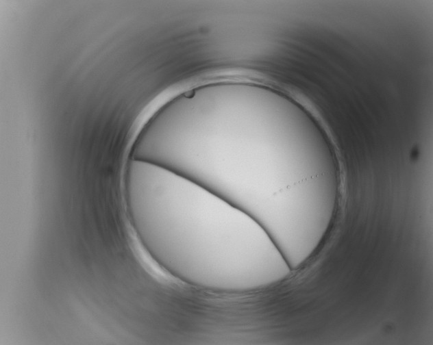 X0000114401482200910161044