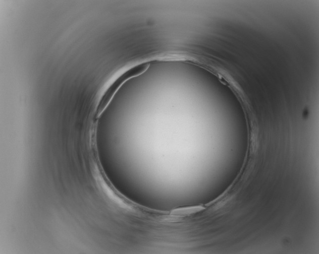 X0000114401484200910161044