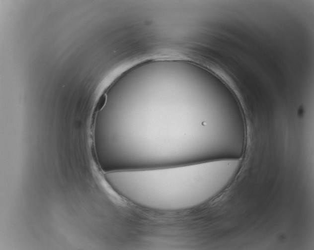 X0000114401485200910161044