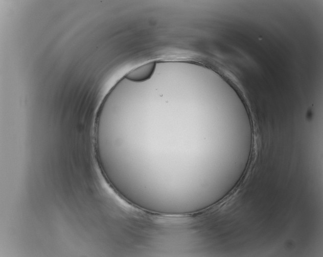 X0000114401487200910161044