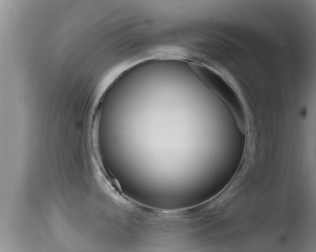 X0000114401488200910161044