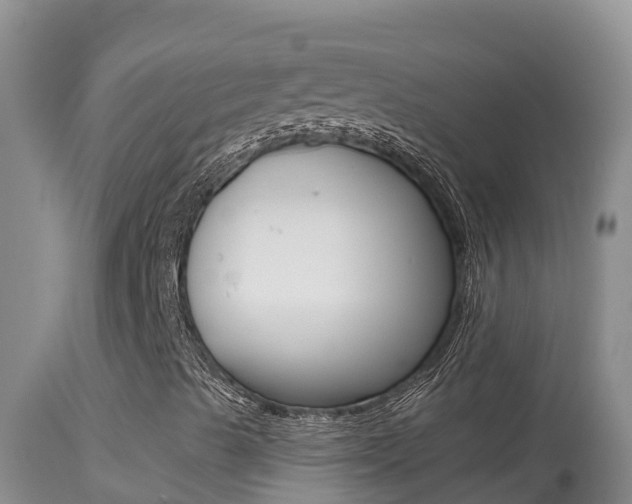 X0000114401489200910161043