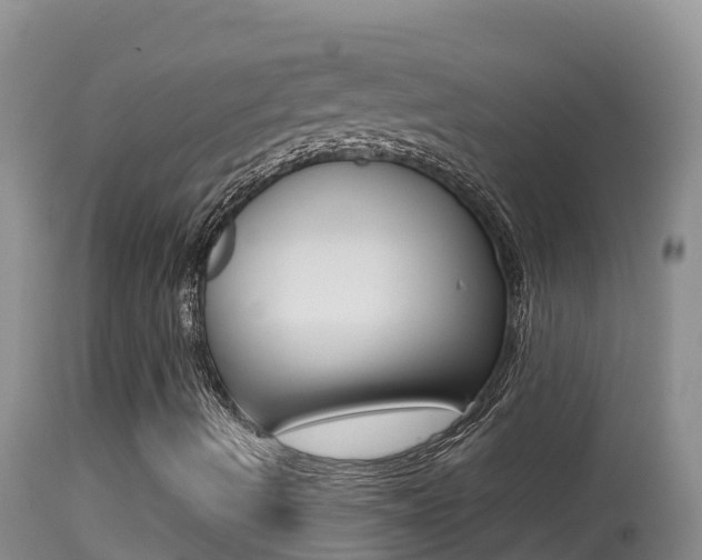 X0000114401490200910161043