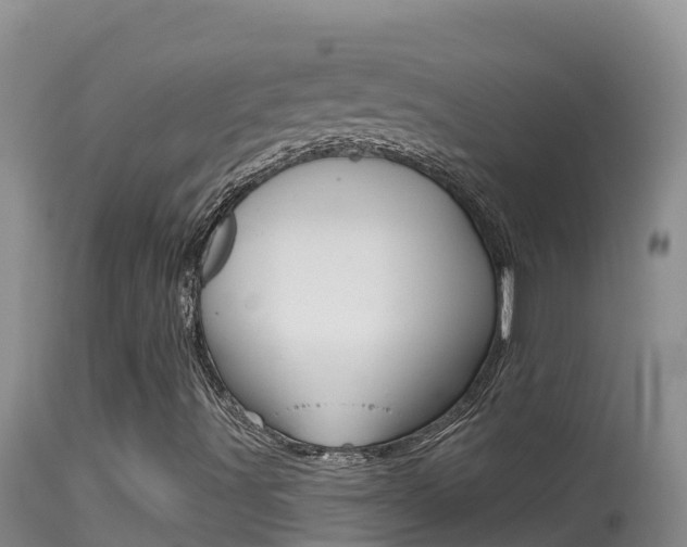 X0000114401491200910161043