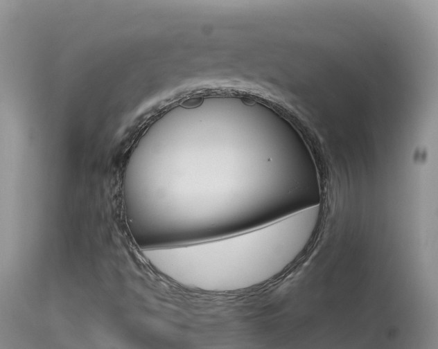 X0000114401494200910161043