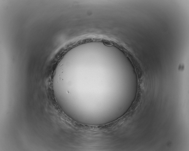 X0000114401495200910161043