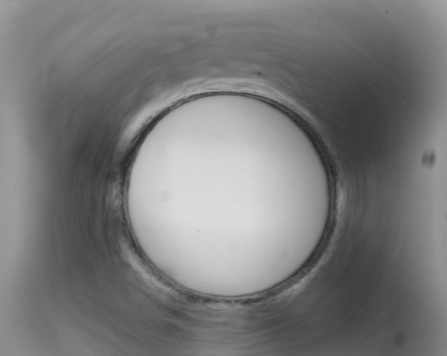 X0000114401498200910161043
