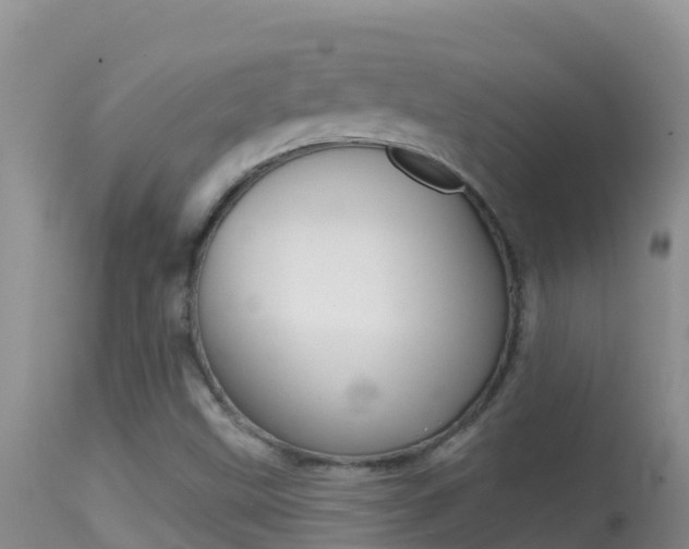 X0000114401499200910161043