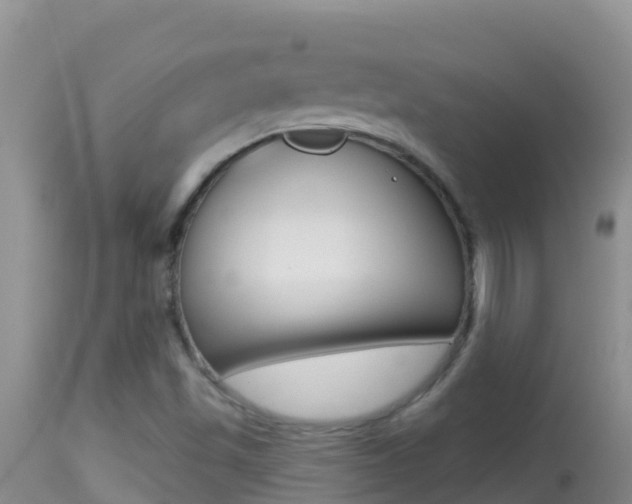 X0000114401501200910161043