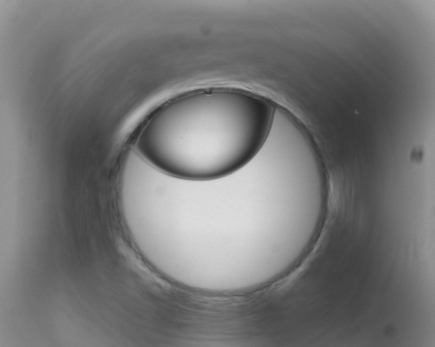 X0000114401502200910161043