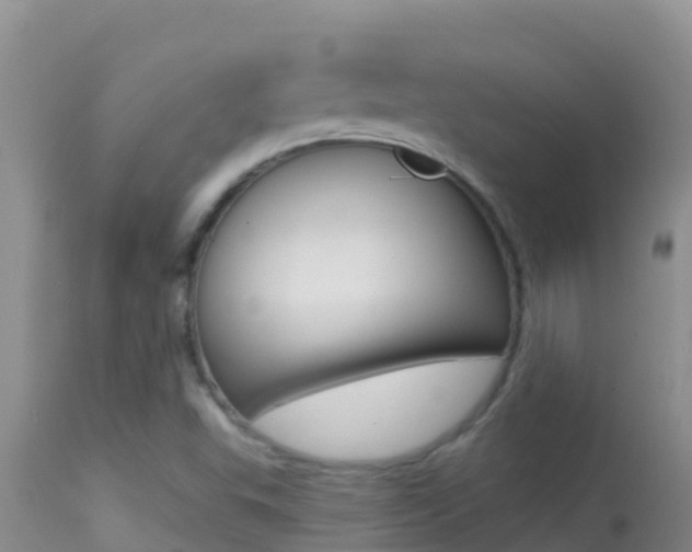 X0000114401503200910161043