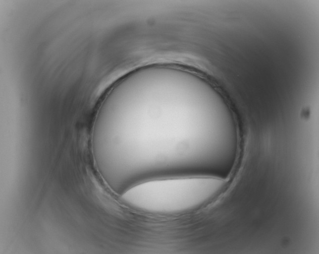 X0000114401505200910161043