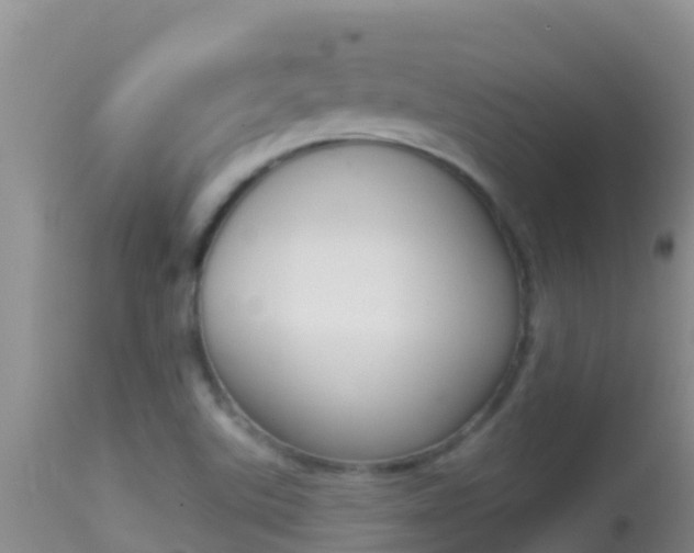 X0000114401507200910161043