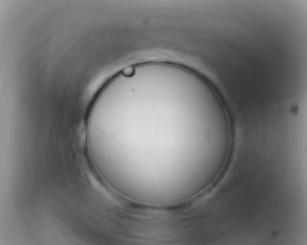 X0000114401509200910161043