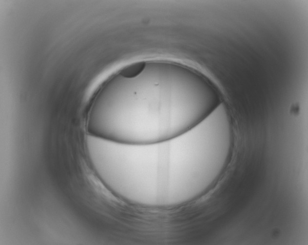 X0000114401510200910161043
