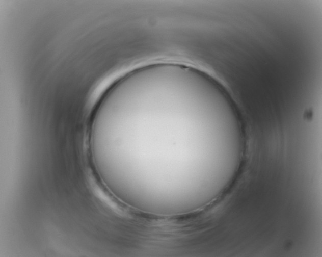 X0000114401511200910161043