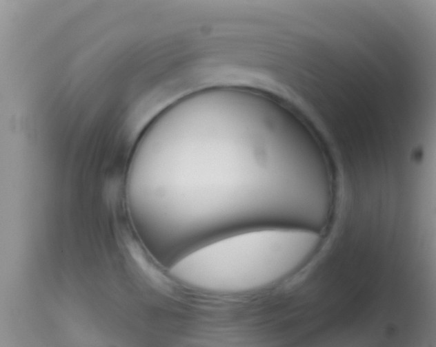 X0000114401513200910161043