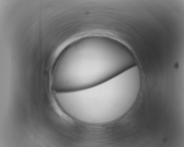 X0000114401515200910161044