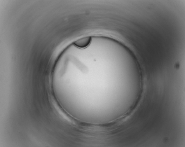 X0000114401517200910161044