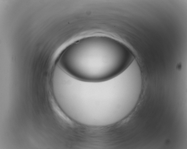 X0000114401518200910161044