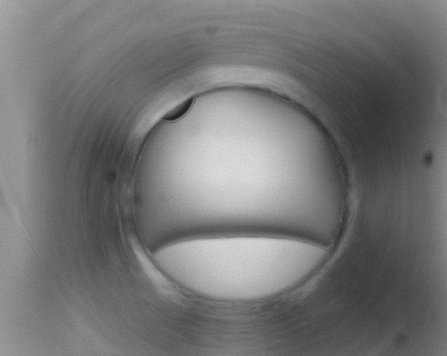 X0000114401521200910161044