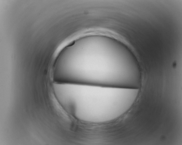 X0000114401522200910161044