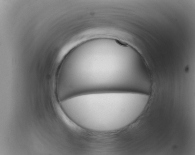 X0000114401523200910161044
