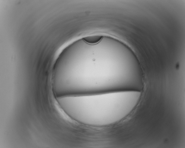 X0000114401526200910161044