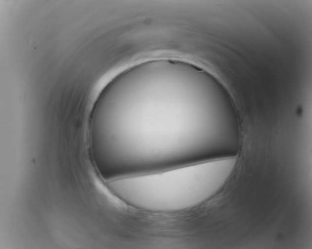 X0000114401527200910161044