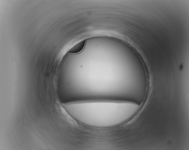 X0000114401529200910161044