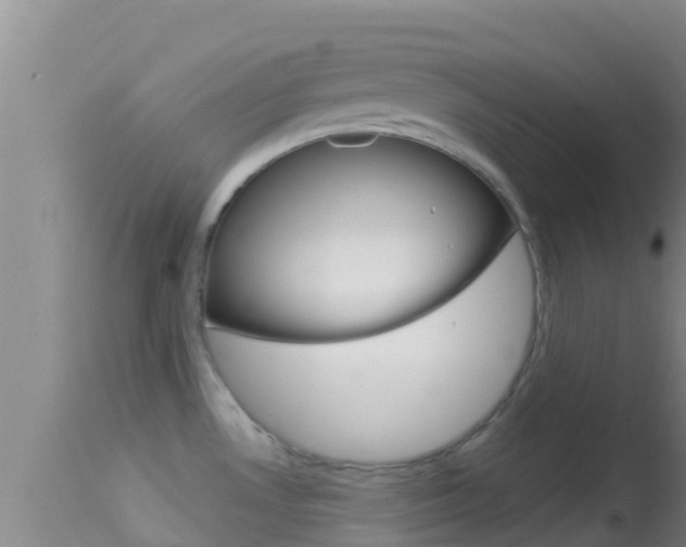 X0000114401530200910161044