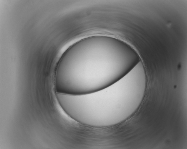 X0000114401531200910161044