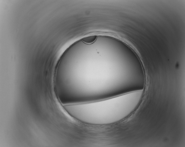 X0000114401533200910161044