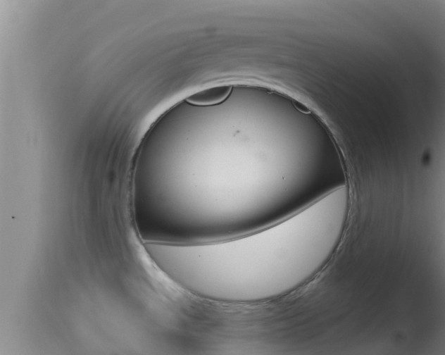 X0000114401534200910161044