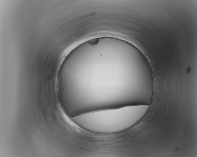 X0000114401535200910161044