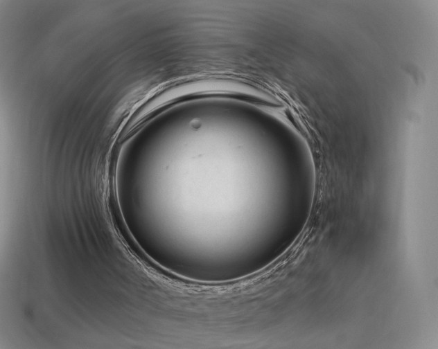 X0000114400002200910161325