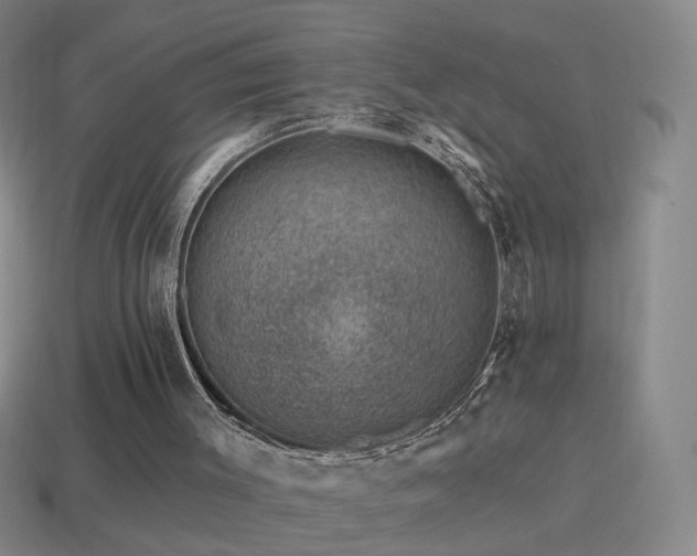 X0000114400003200910161325