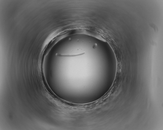 X0000114400004200910161325