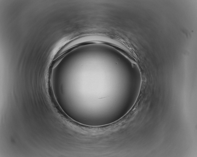 X0000114400006200910161325