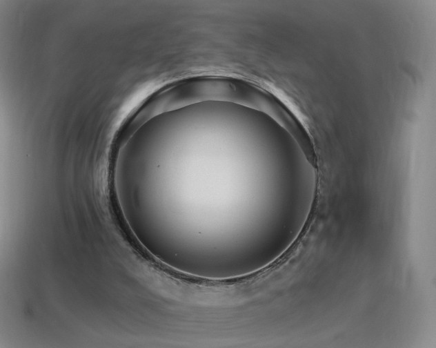 X0000114400008200910161325