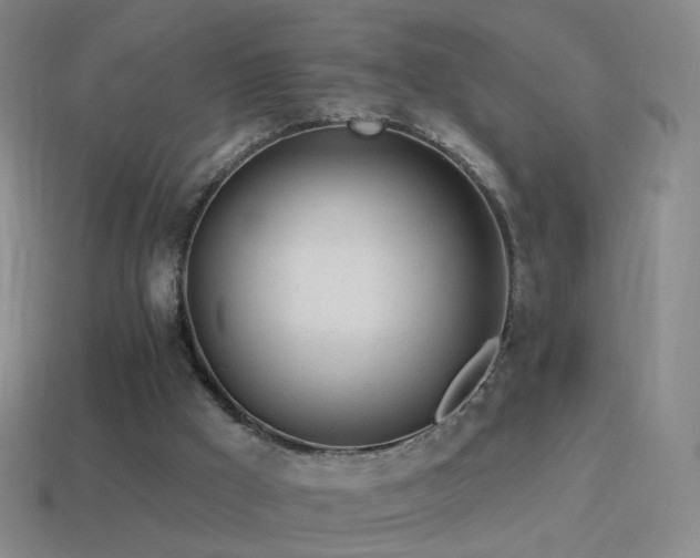 X0000114400009200910161325