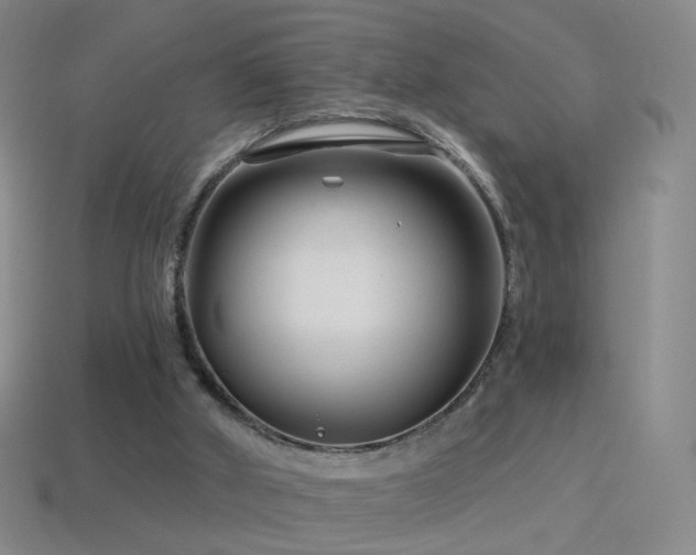 X0000114400010200910161325