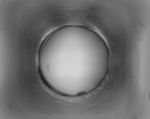 X0000114400011200910161325