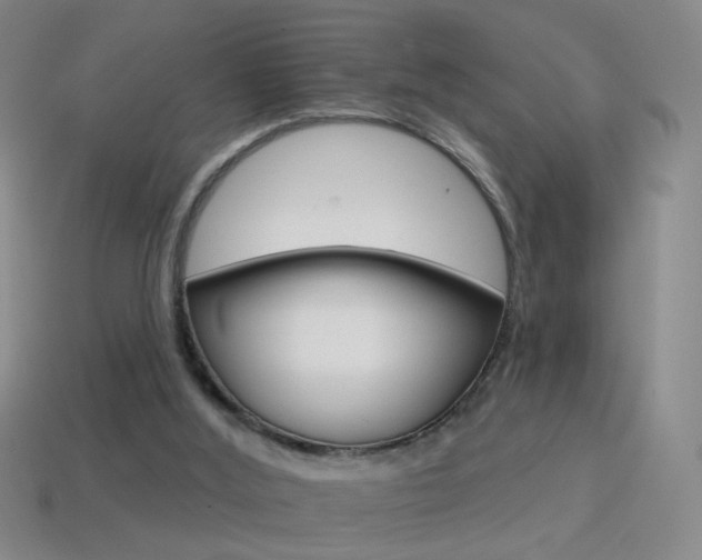 X0000114400012200910161325