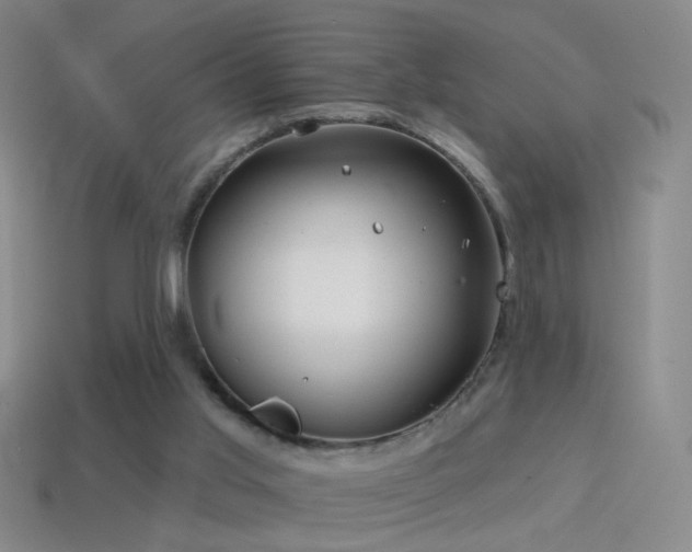 X0000114400013200910161325