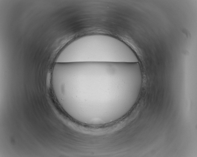 X0000114400014200910161325