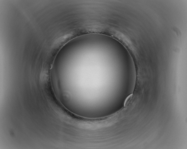 X0000114400017200910161325